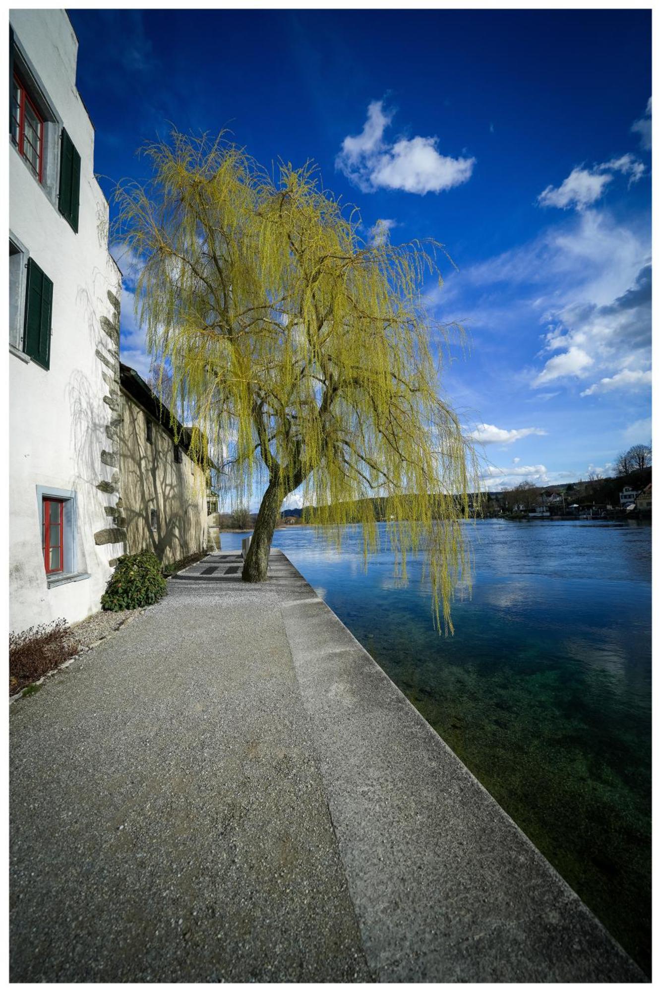 Appartamento Secret Garden Busingen am Hochrhein Esterno foto