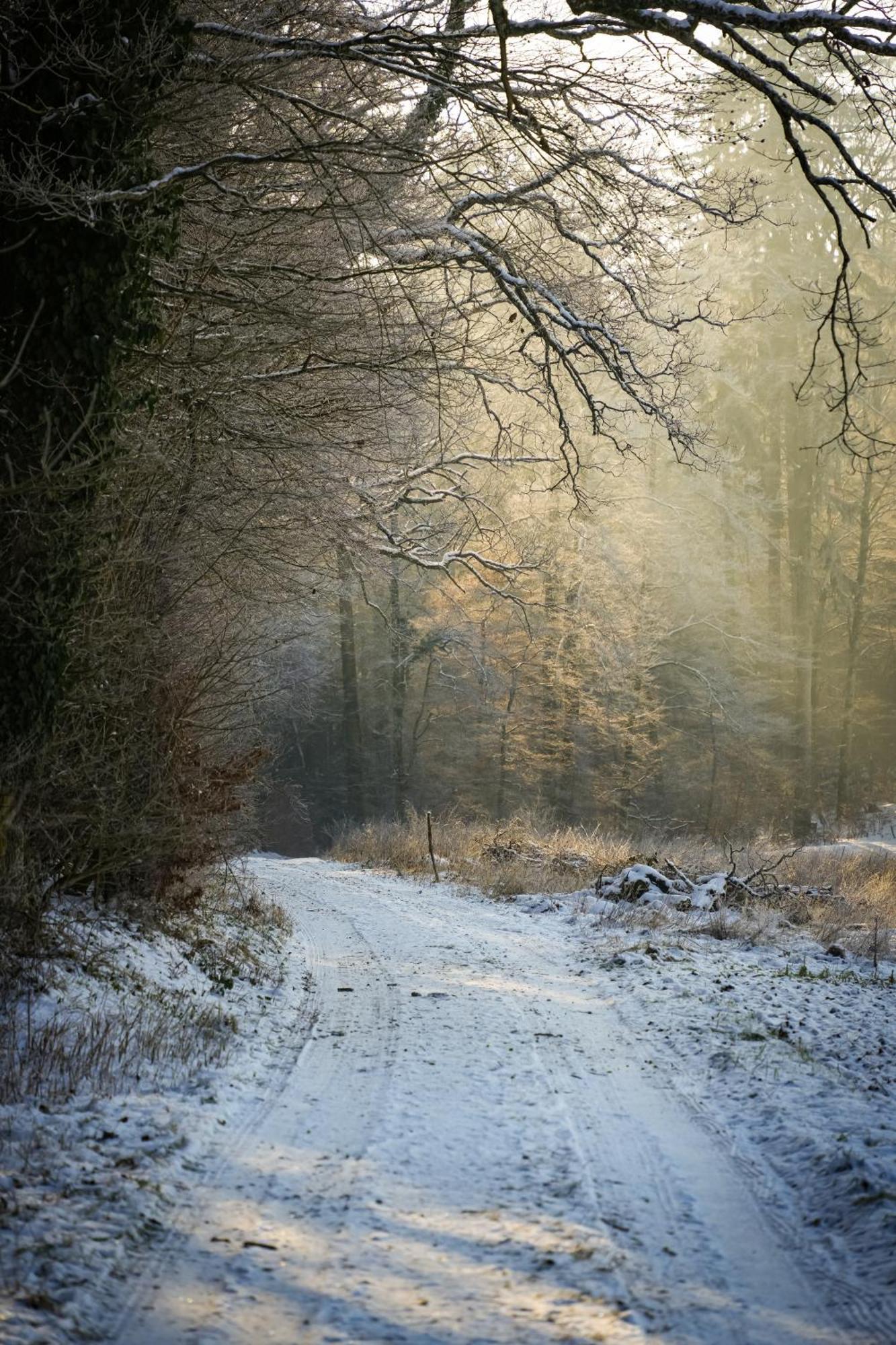 Appartamento Secret Garden Busingen am Hochrhein Esterno foto