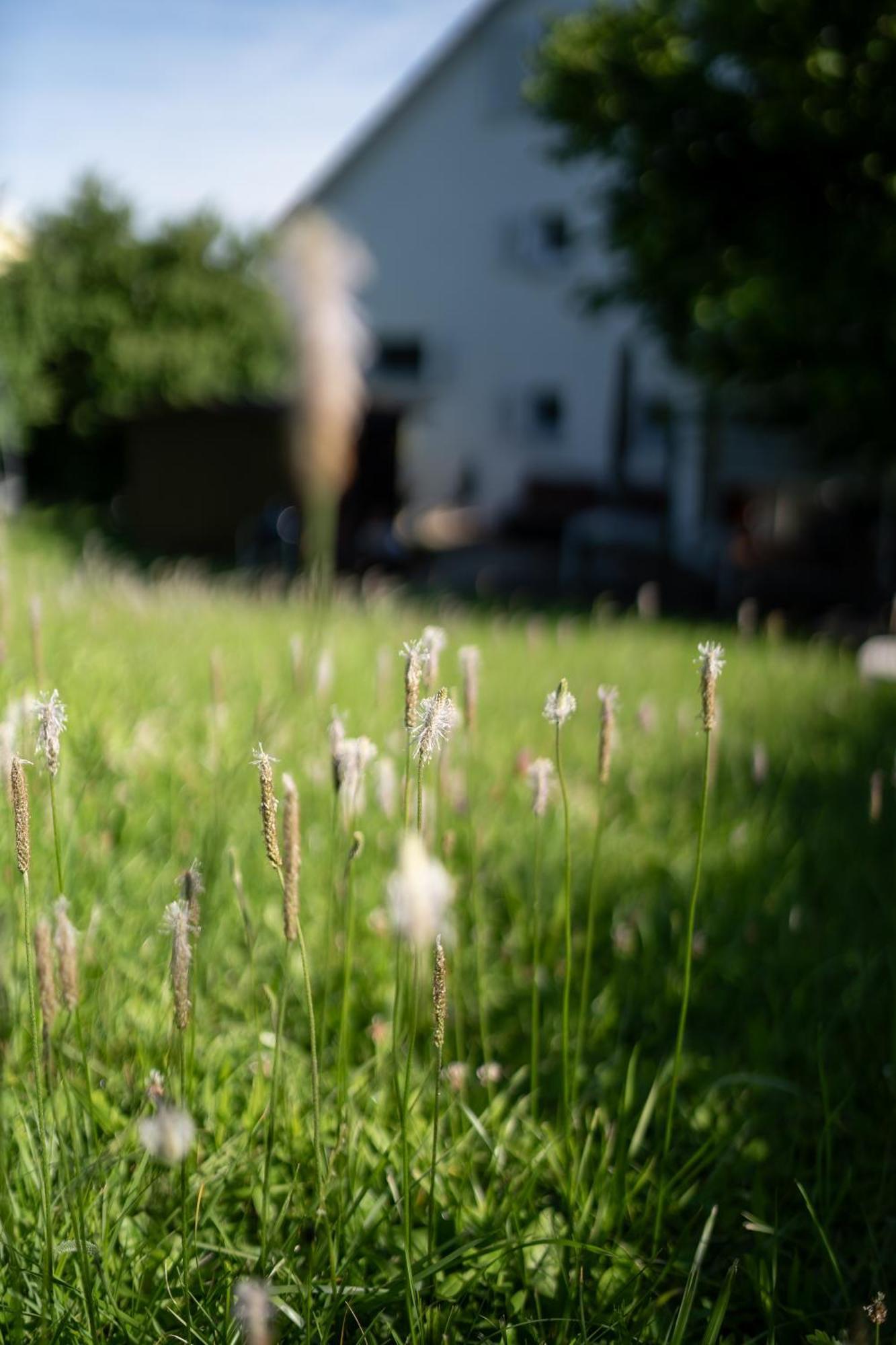 Appartamento Secret Garden Busingen am Hochrhein Esterno foto