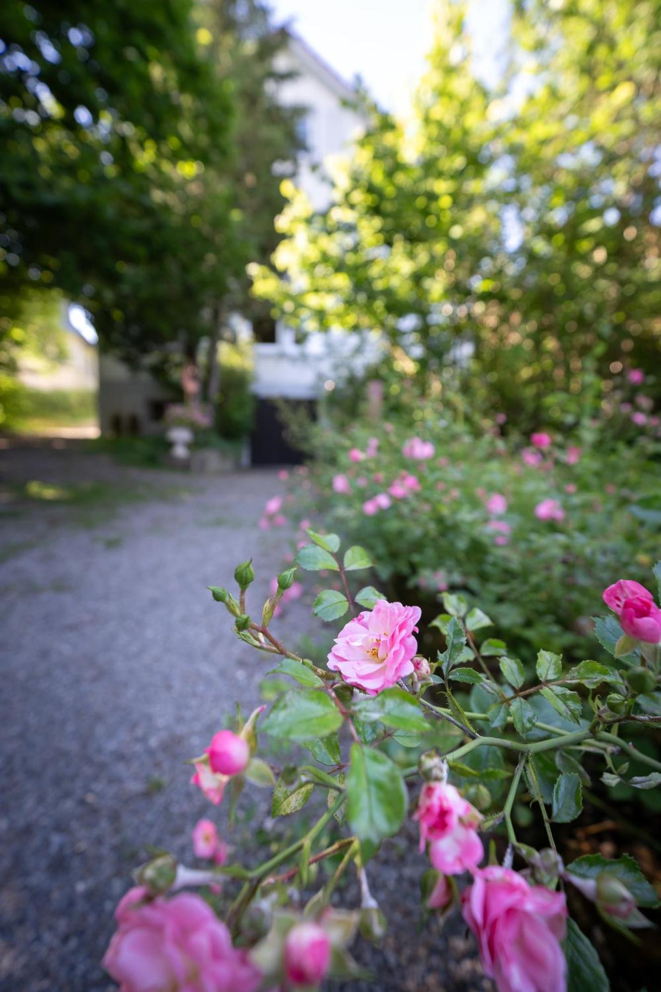 Appartamento Secret Garden Busingen am Hochrhein Esterno foto