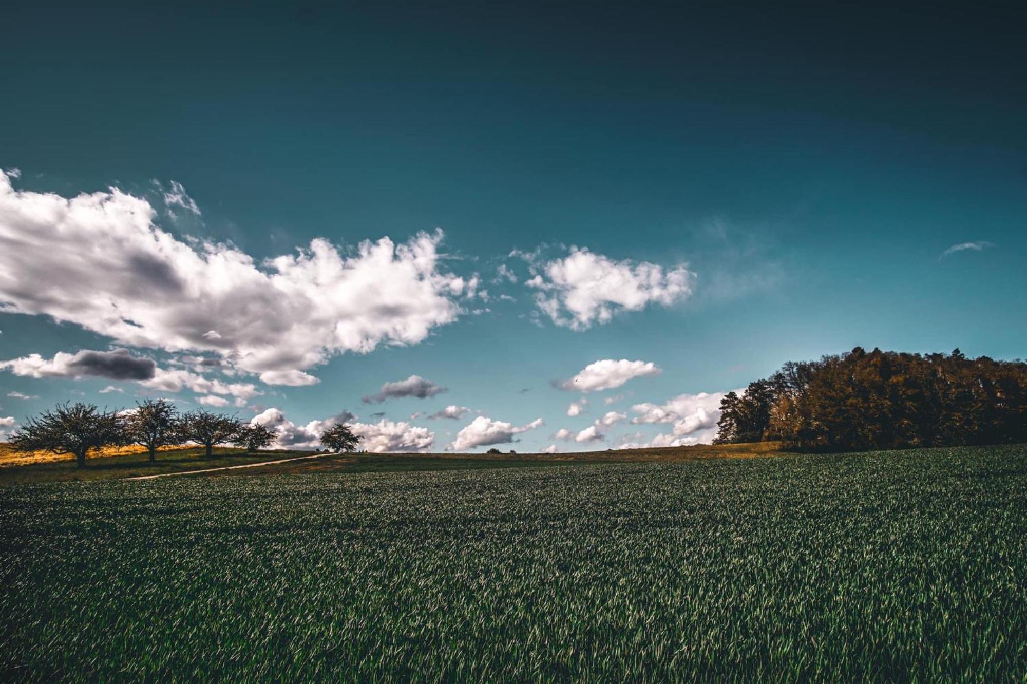 Appartamento Secret Garden Busingen am Hochrhein Esterno foto