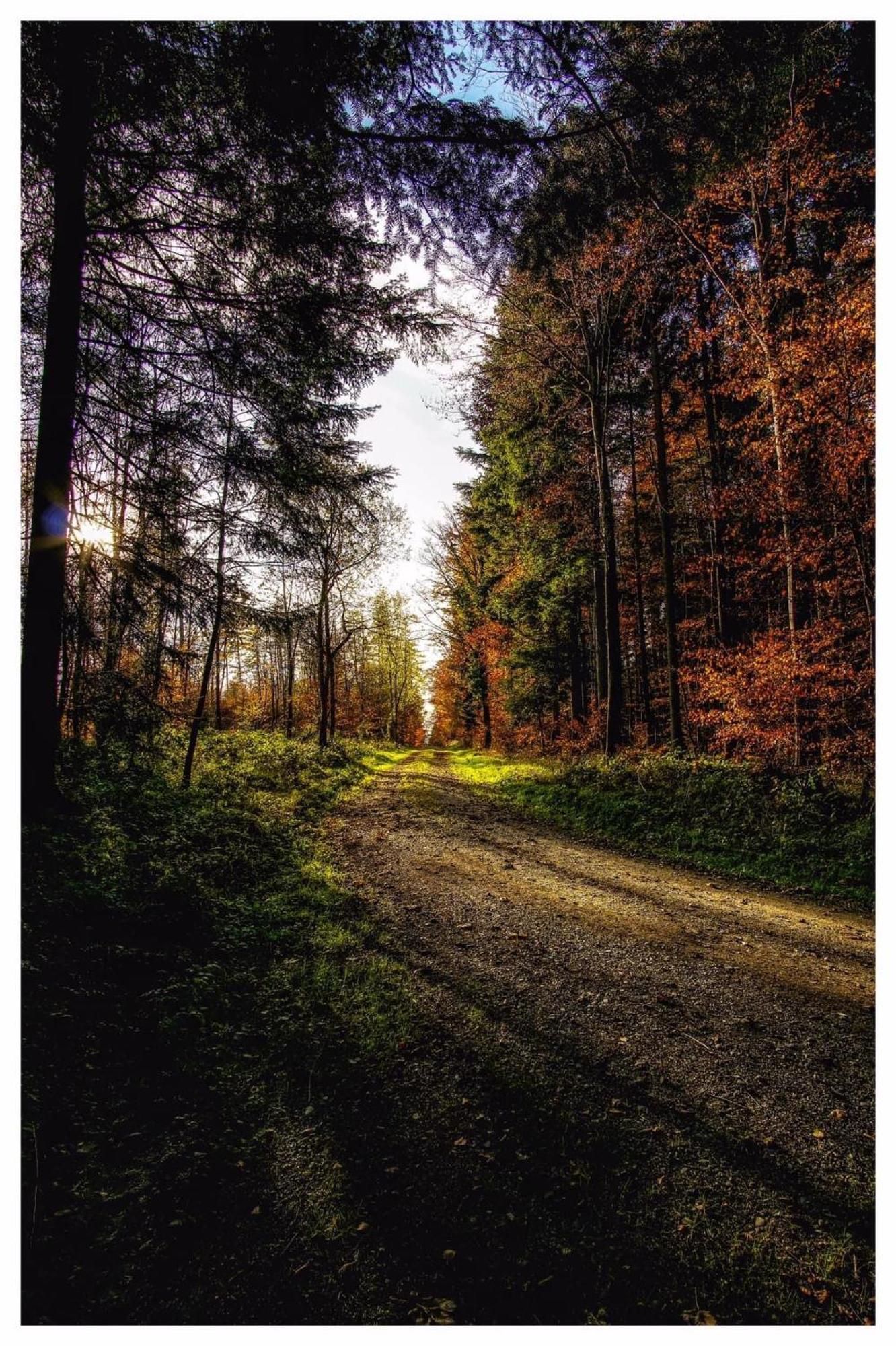 Appartamento Secret Garden Busingen am Hochrhein Esterno foto